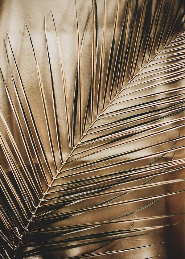 Cuadro-GOLDEN PALM-Studio Malek