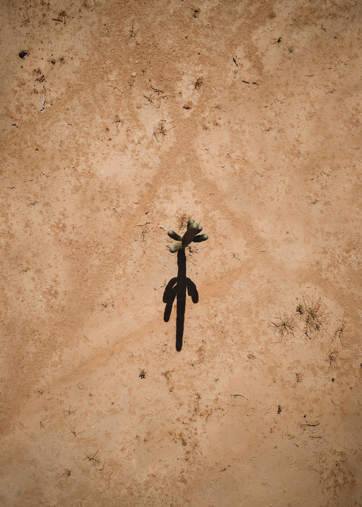 Desierto