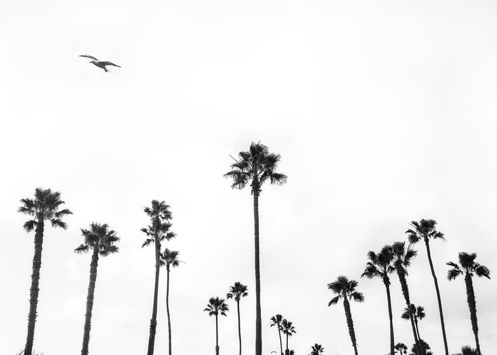 Newport Beach