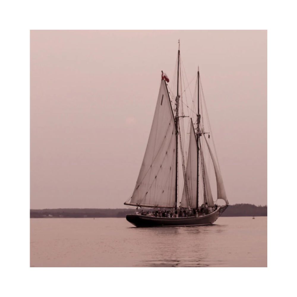 VELERO