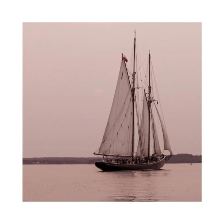 VELERO