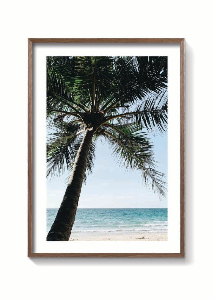 BALI PALM POSTER