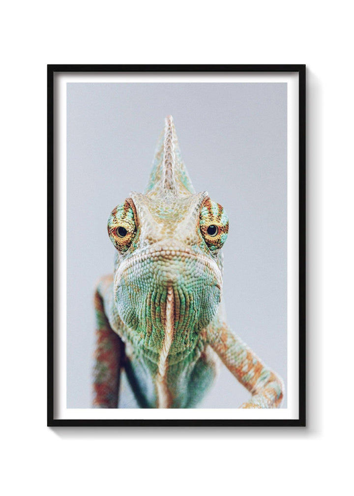 CAMALEON