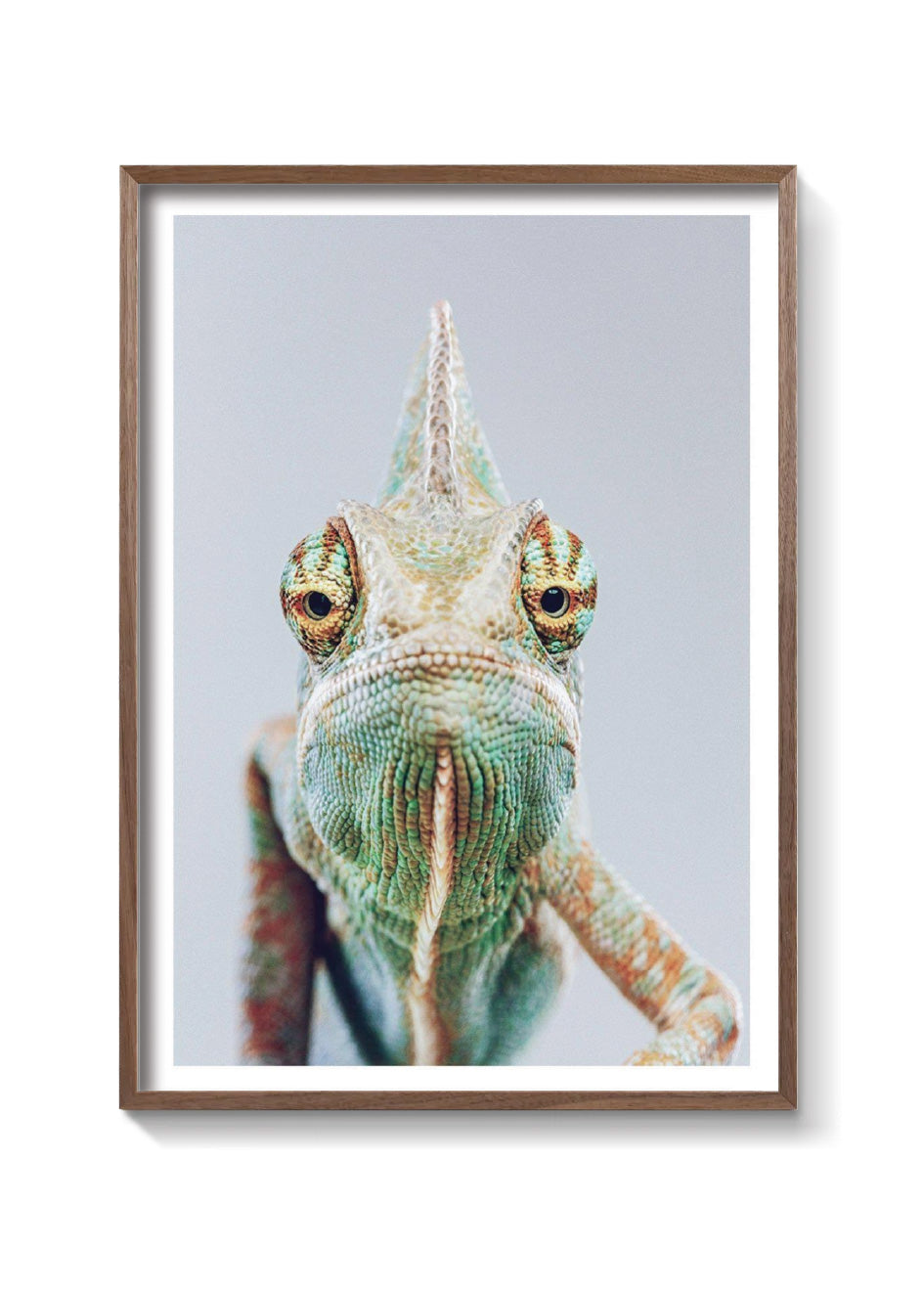 CAMALEON