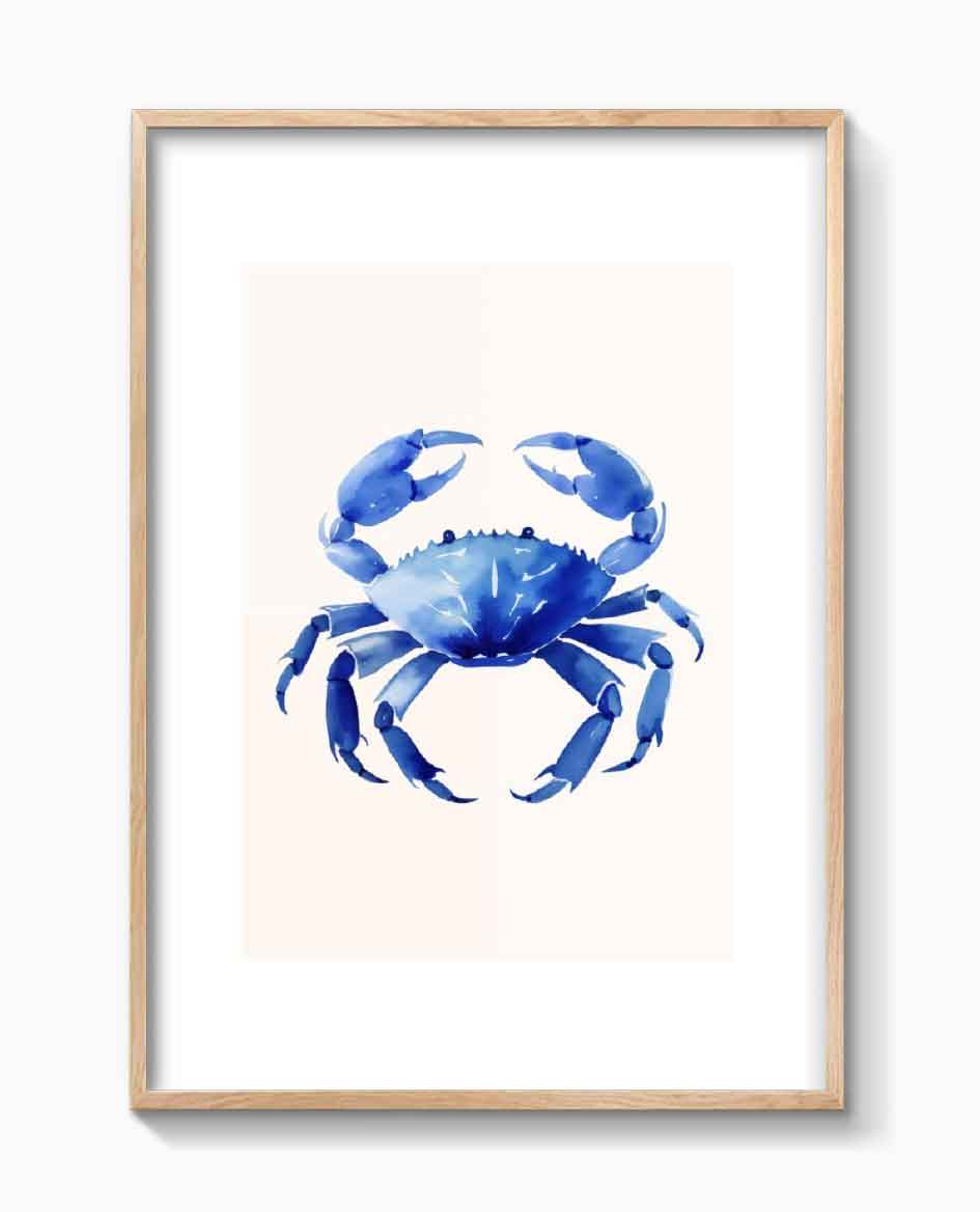 CANGREJO AZUL