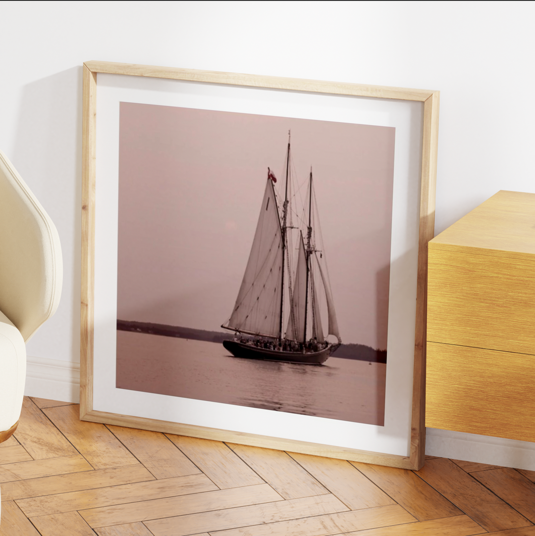 VELERO