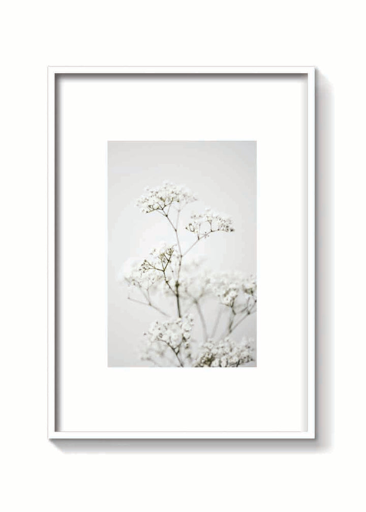 CLOUD FLOWER