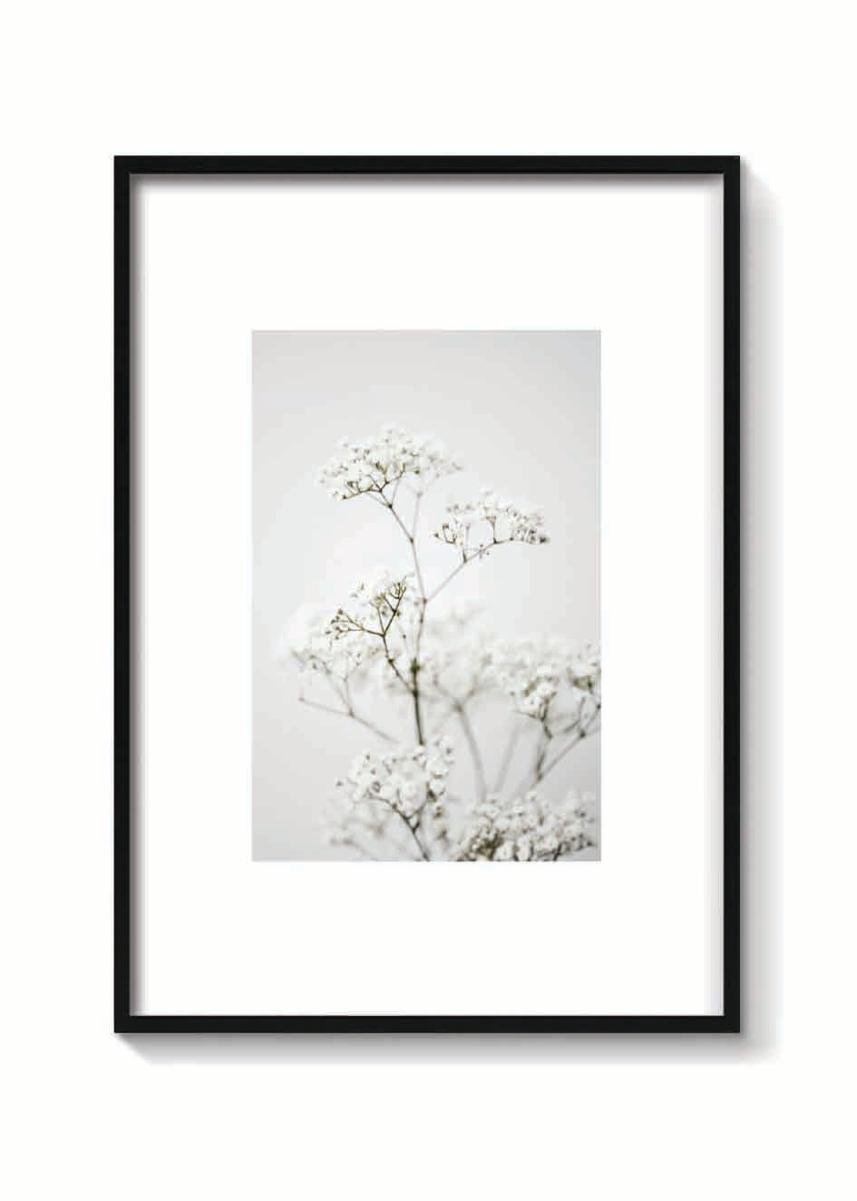 CLOUD FLOWER