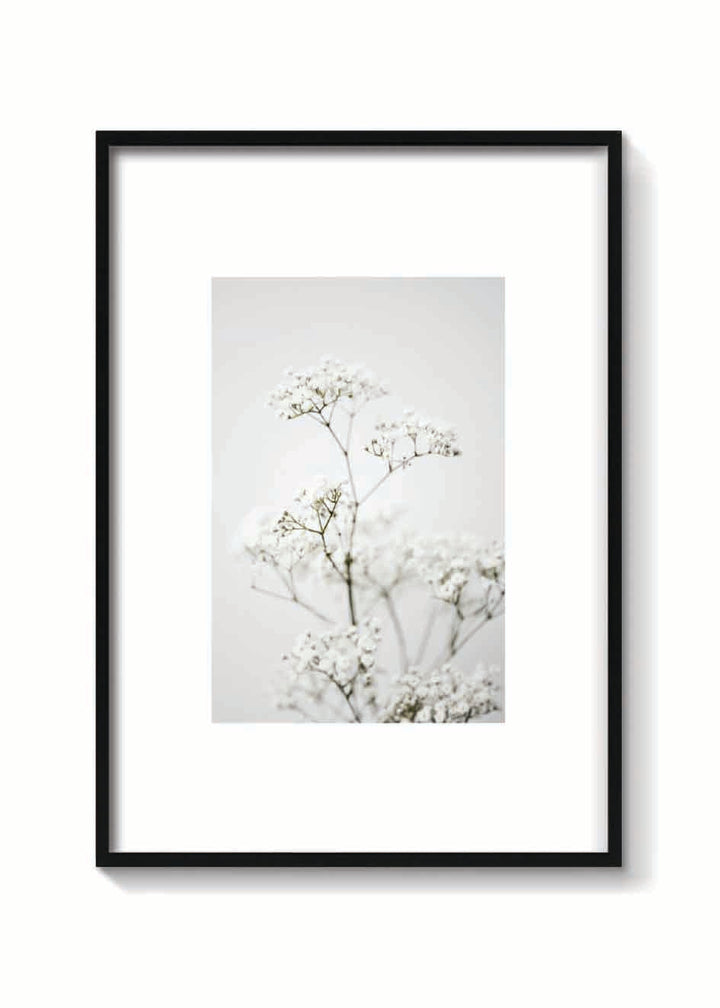 CLOUD FLOWER