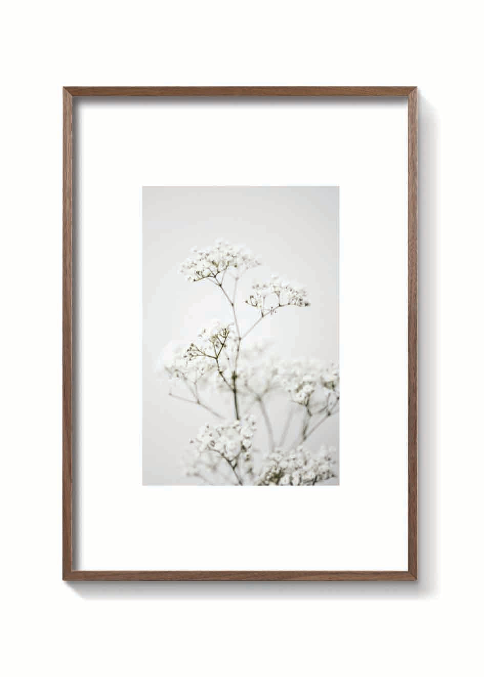 CLOUD FLOWER