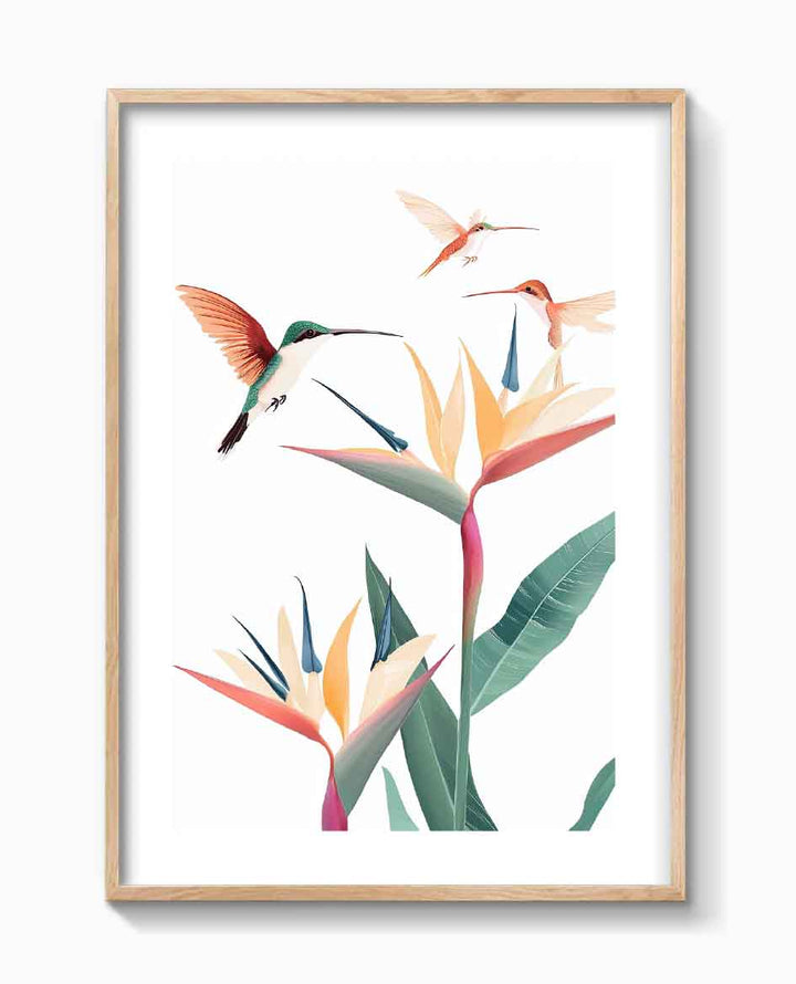 COLIBRÍES TROPICALES