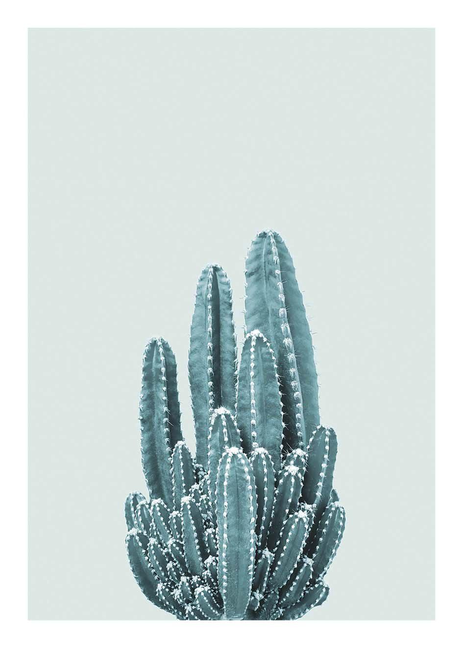 Cuadro-CACTUS VERDE-Studio Malek