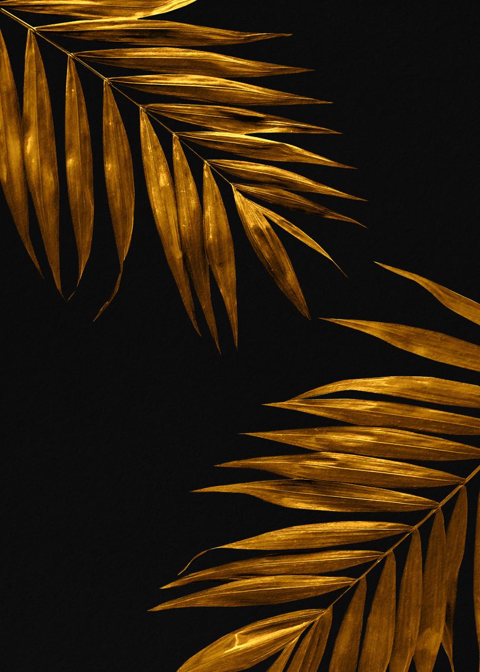 Cuadro-GOLDEN PALMS-Studio Malek