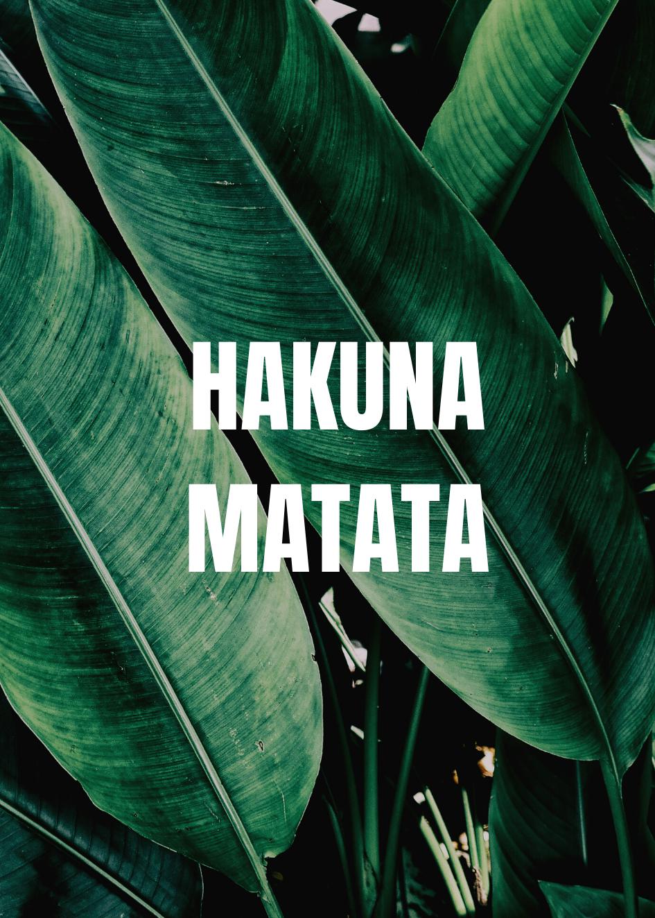 Cuadro-HAKUNA MATATA-Studio Malek