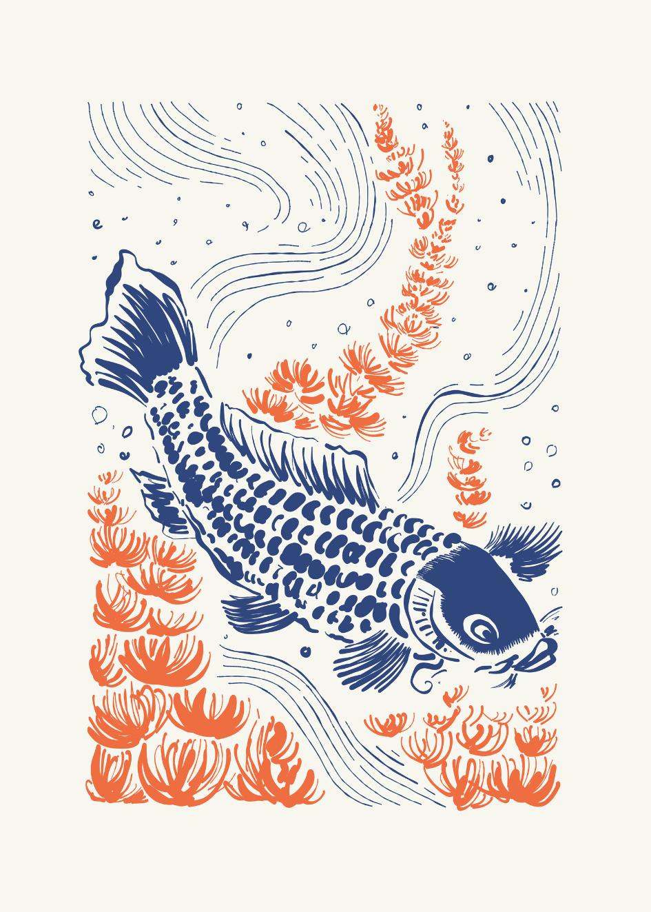 KOI