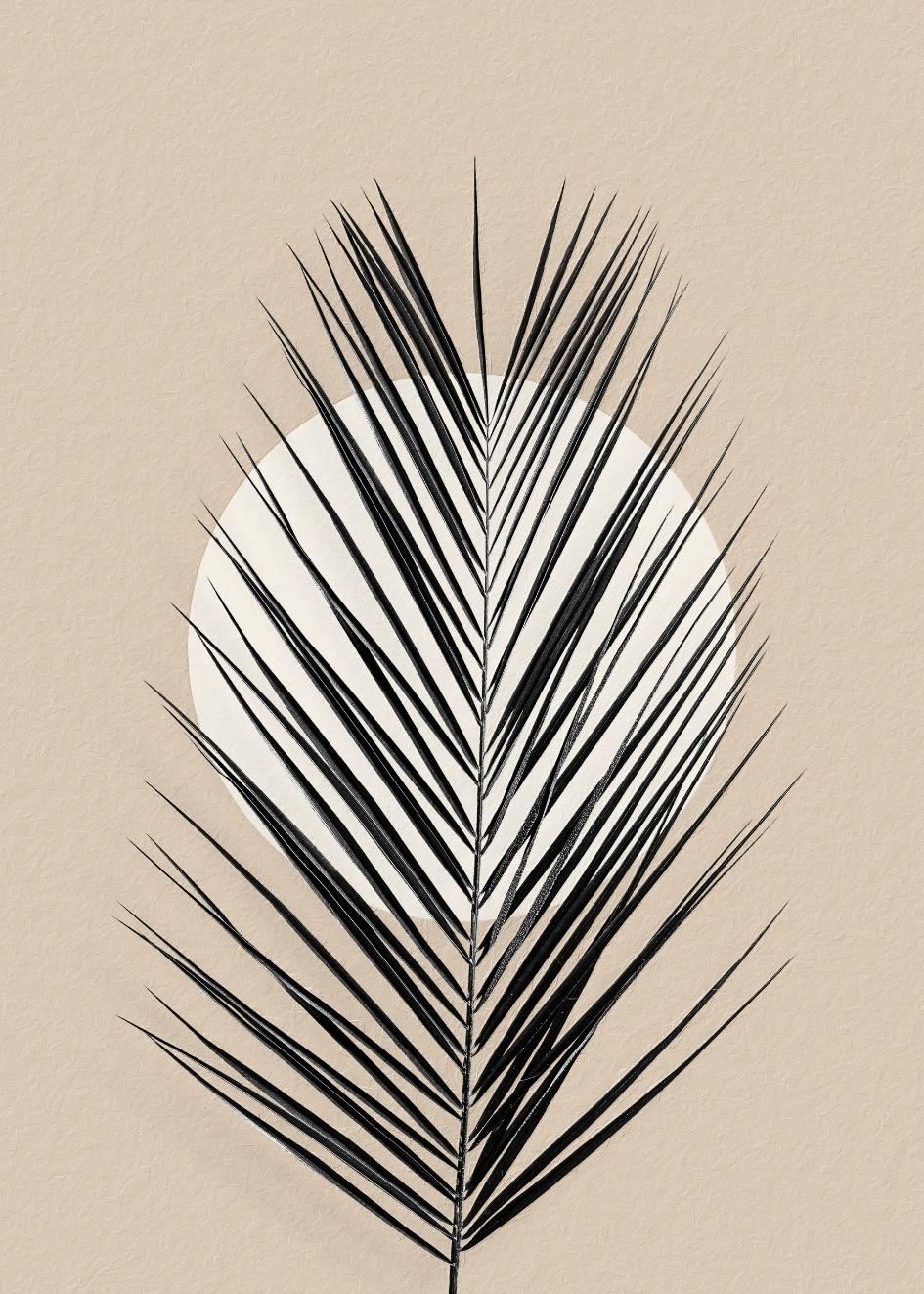 Cuadro-MEXICAN PALM ART-Studio Malek