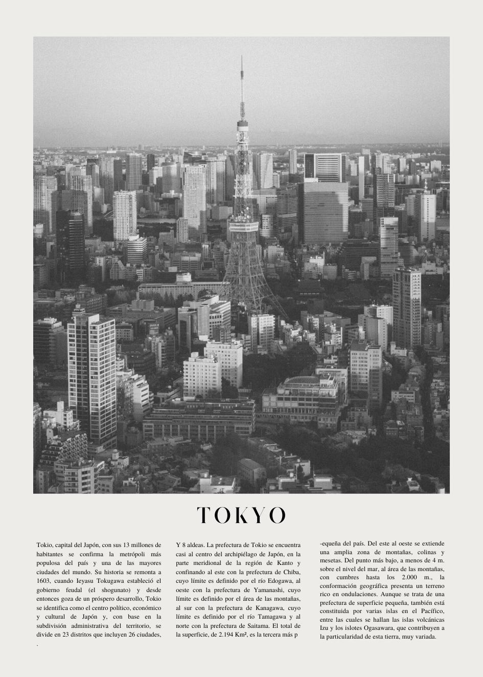 Cuadro-TOKYO PAPER-Studio Malek