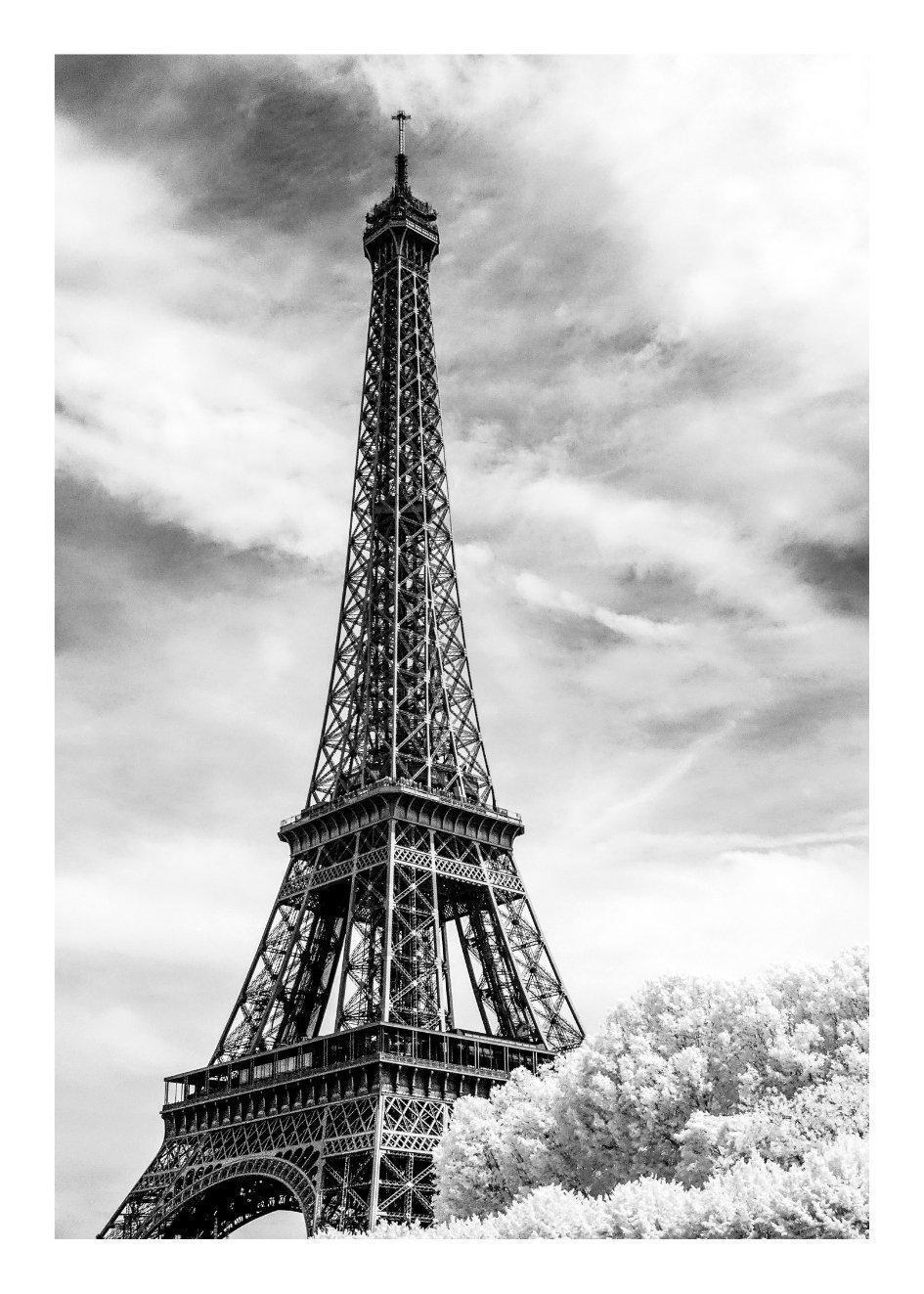 Cuadro-TORRE EIFFEL-Studio Malek