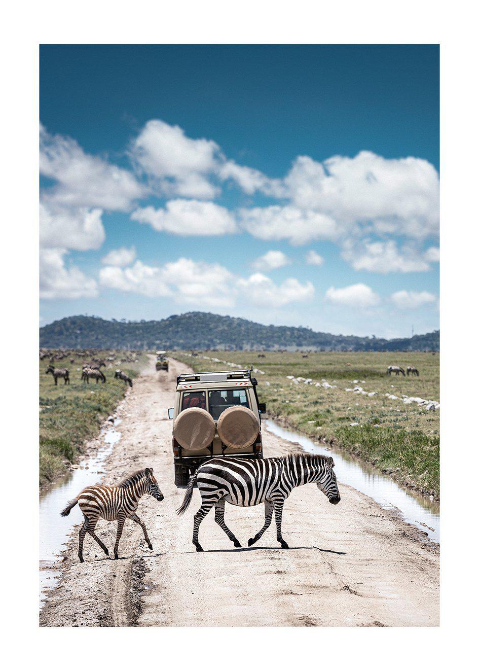 Cuadro-ZEBRAS EN NAMIBIA-Studio Malek