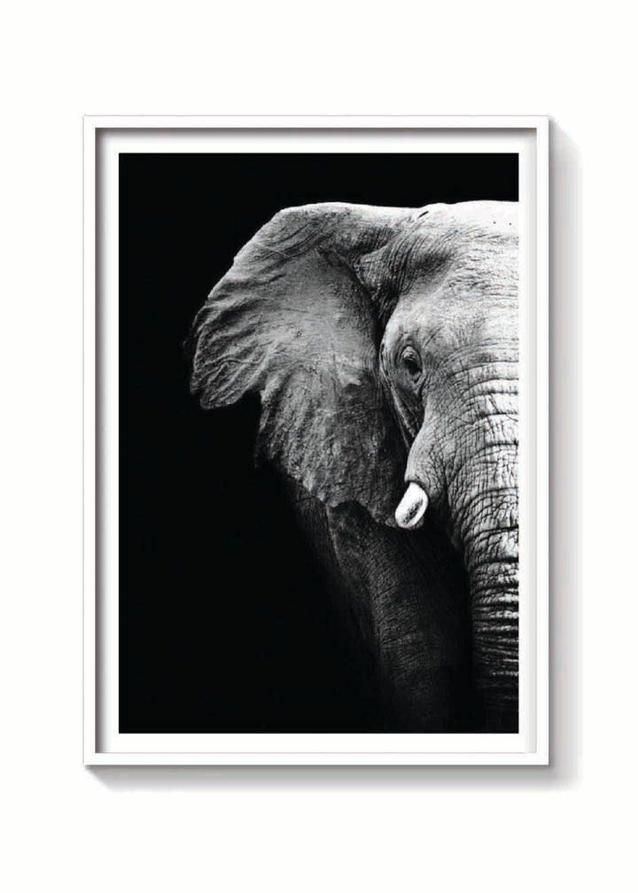 ELEFANTE