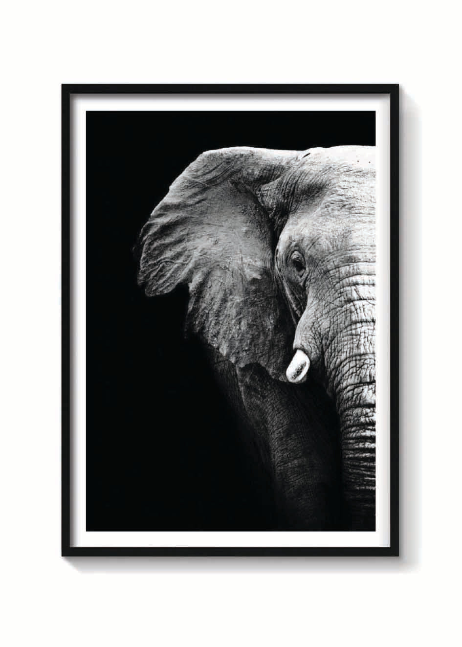 ELEFANTE