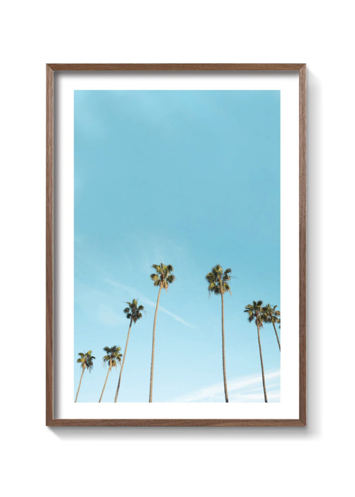 L.A PALMS