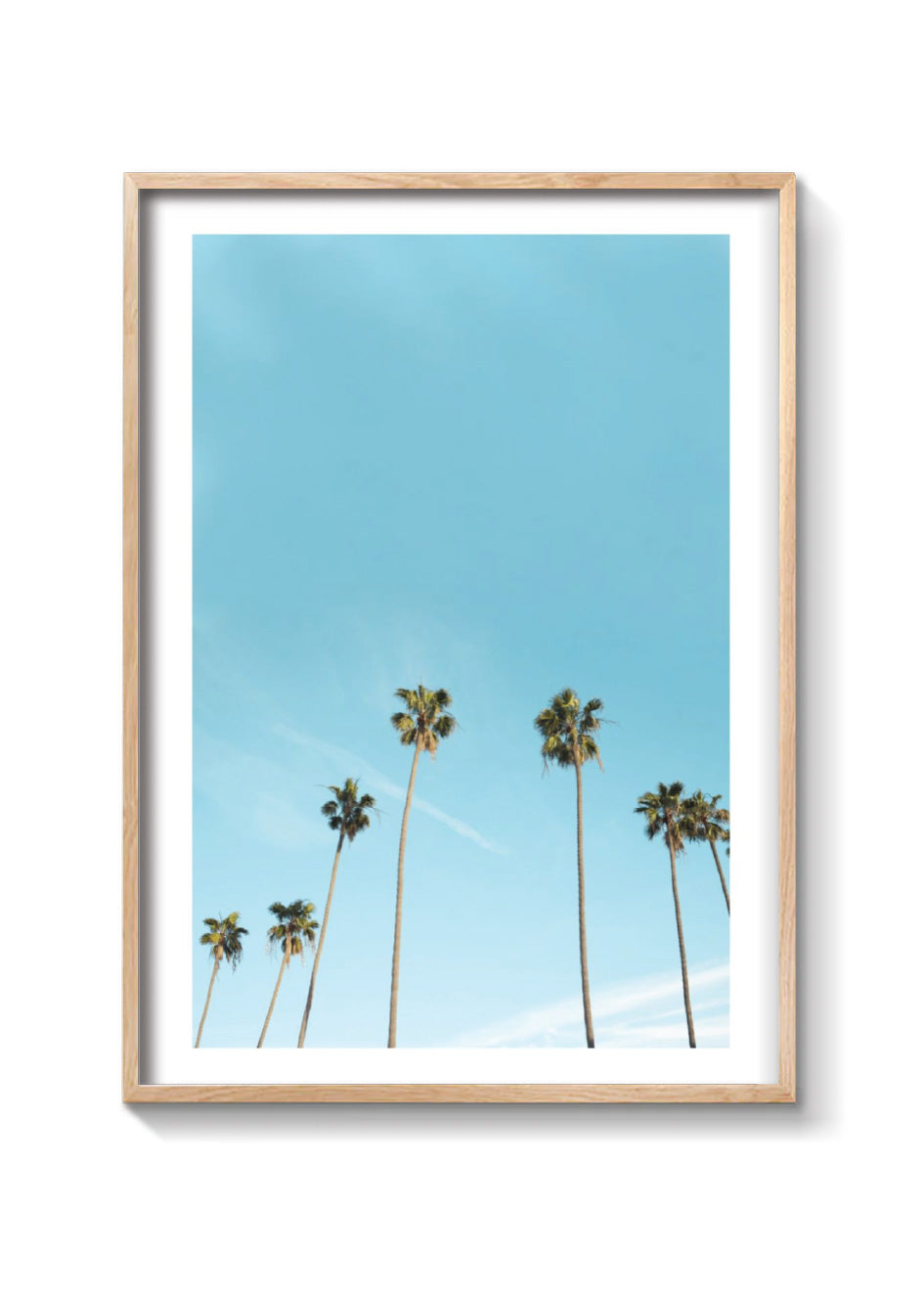 L.A PALMS