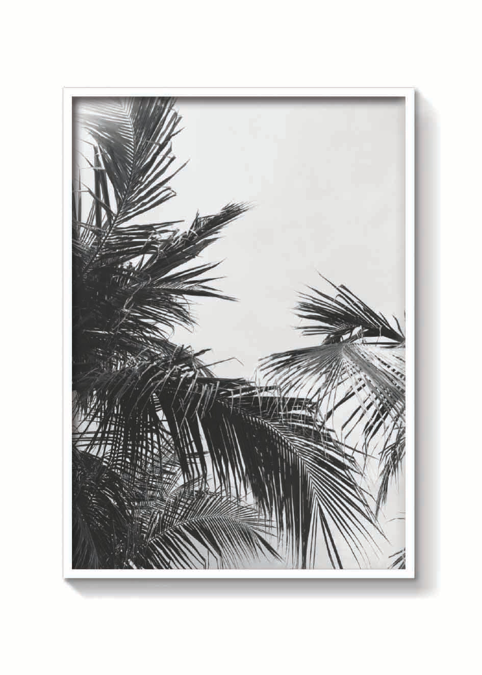 PALMS VINTAGE