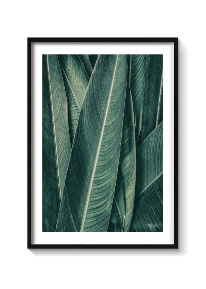 PLANTAS NO3