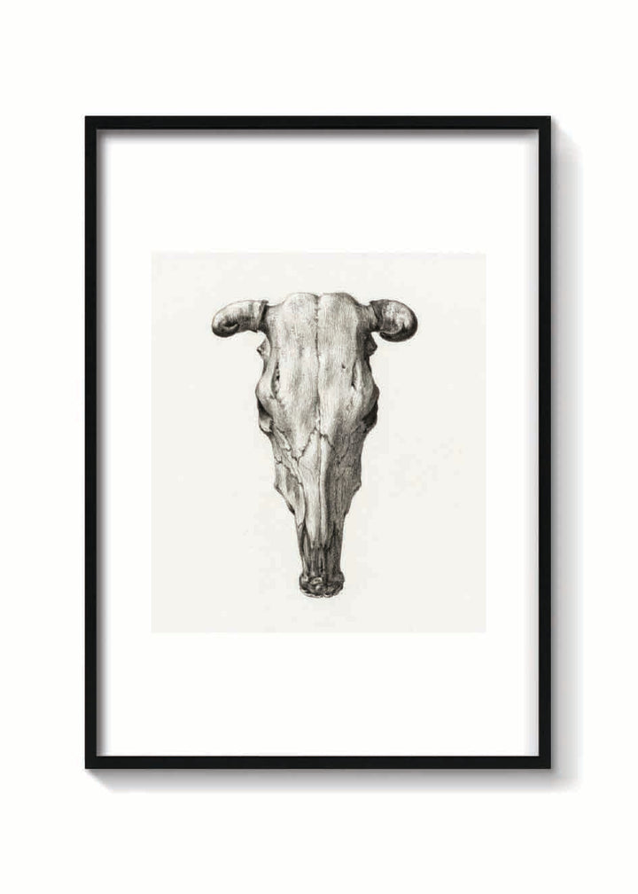 SKULL