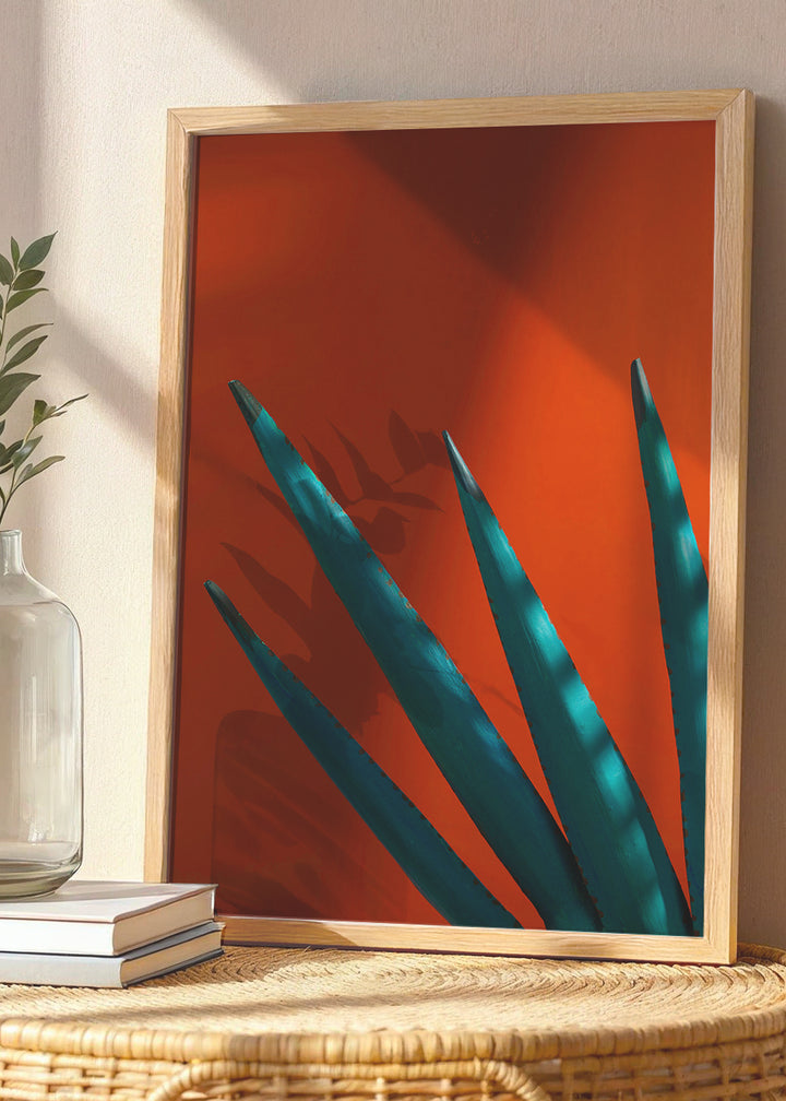 Agave sunset