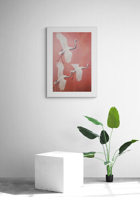 CRANES