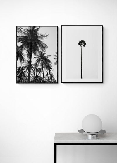 SANTA BARBARA