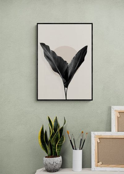 BLACK PALM