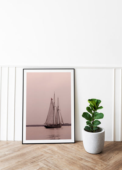 VELERO