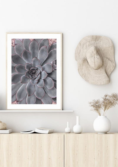 AGAVE