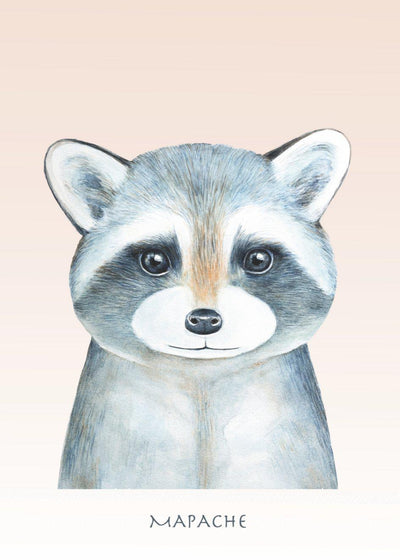MAPACHE