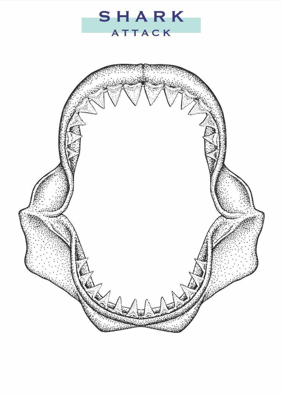 SHARK