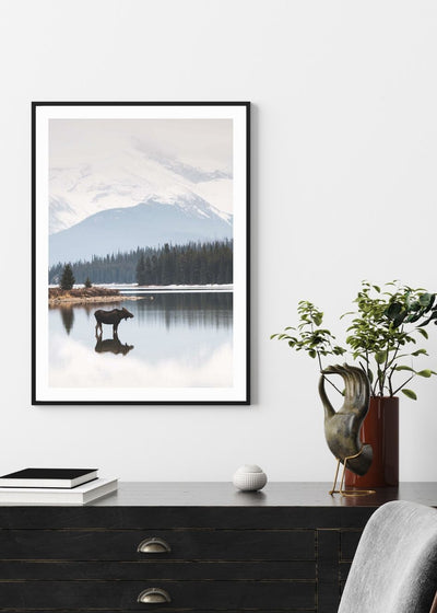 Cuadro-ALCE CANADIENSE POSTER-studiomalek
